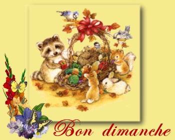 Bon dimanche � tous