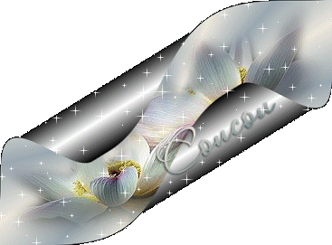 Un petit kikou de la belgique