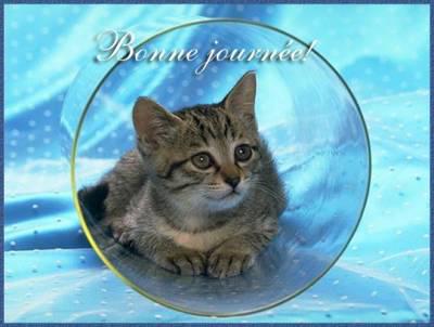 Bonne journ�e mes amis!