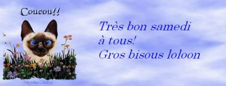 Bon samedi mes amis