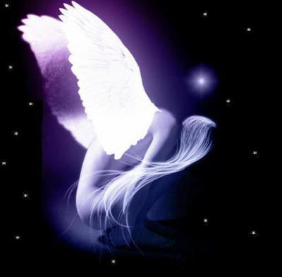 Bonne soir�e � tous