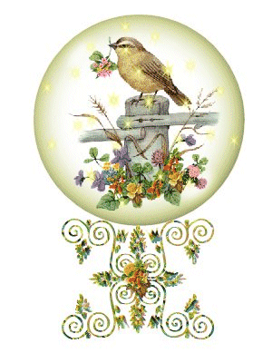 1er Jour de printemp.