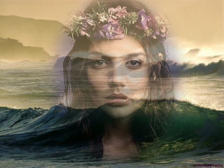 Bonne nuit a tous...