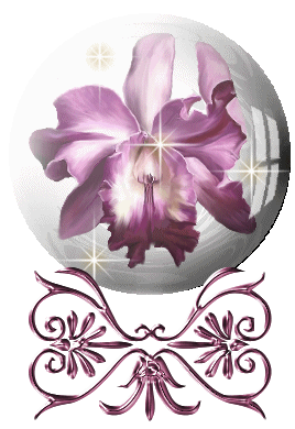 Pour tout les bogeurs