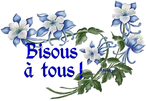 Bonjour mes amis