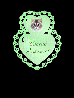 Bon mercredi les amis!