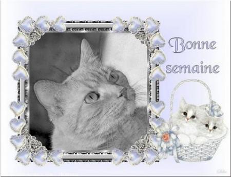 Bonne semaine mes amis!