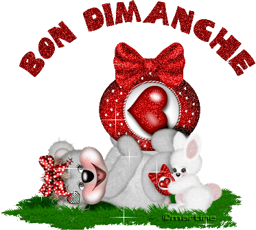 Bon dimanche  a tous.