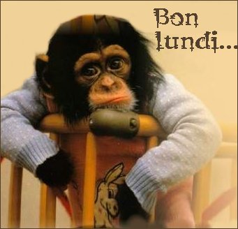 Bon lundi a tous