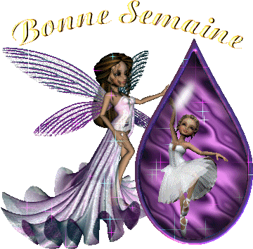 Bonne semaine a tous.