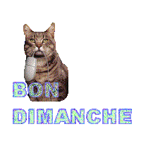 Bon dimanche a tous.