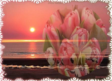 Un bouquet de fleurs pour accompagner vos r�ves!