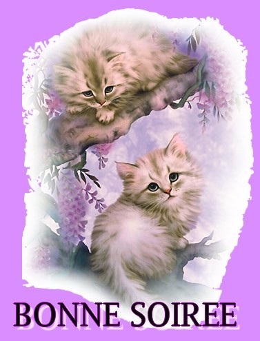 Bonne soir�e mes amis!