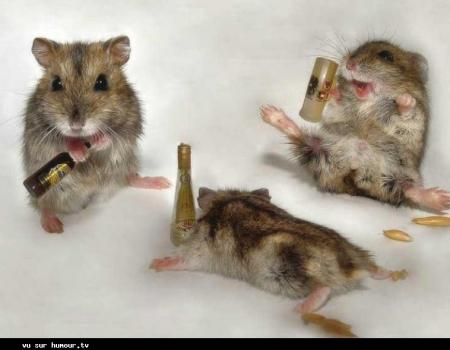 Bon dimanche a tous.