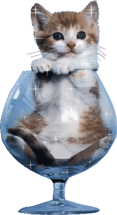 Que le monde peux �tre cruel!