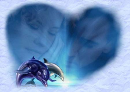 Bonne soir�e mes amis et douce nuit!