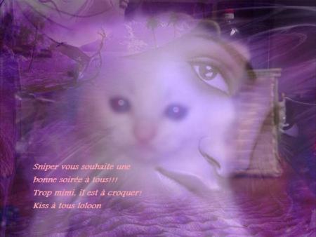 Bonne soir�e � tous!