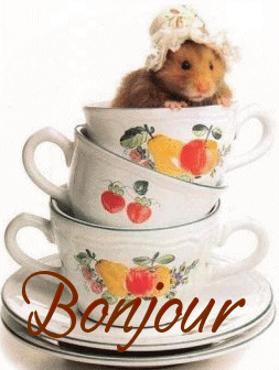 Bon dimanche � tous!