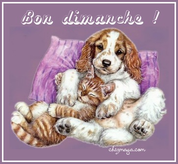 Bon dimanche � tous