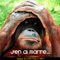 Ca rame ici grave snif