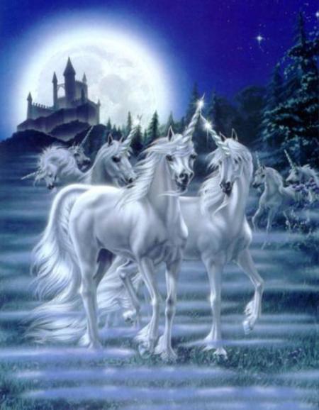 Bonne nuit mes amis!