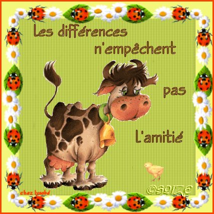 Bonne journ�e � tous