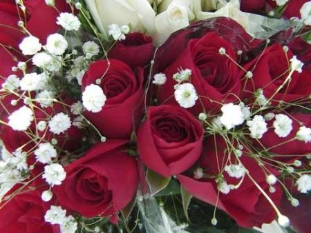 bon dimanche � tous!